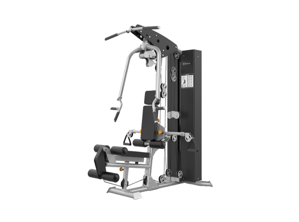 Lat Pulldown (Top Level)