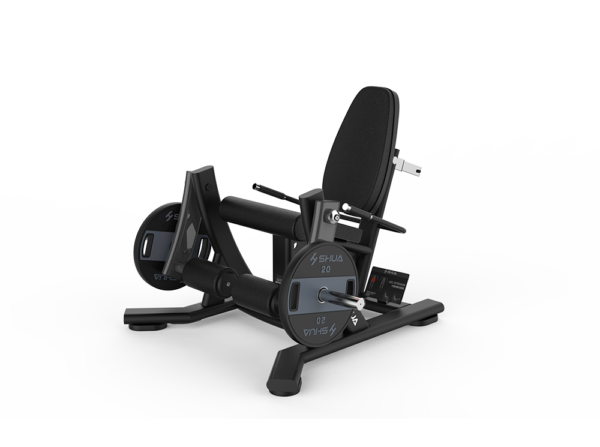 Leg Extension Trainer