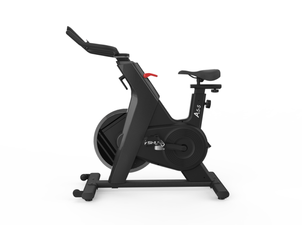 Spinning Bike B599