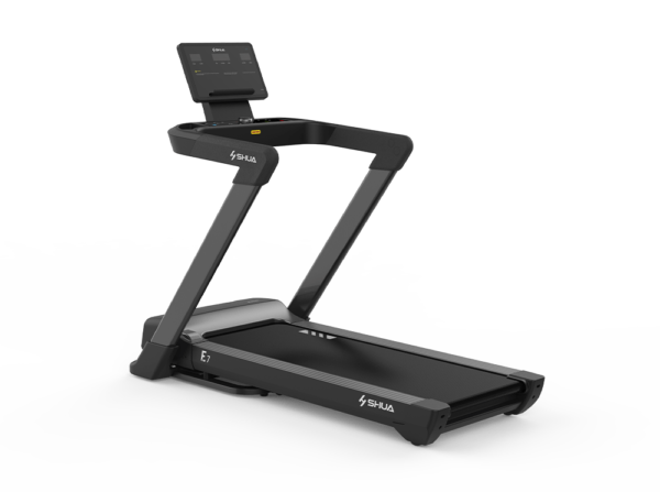 Treadmill T399P