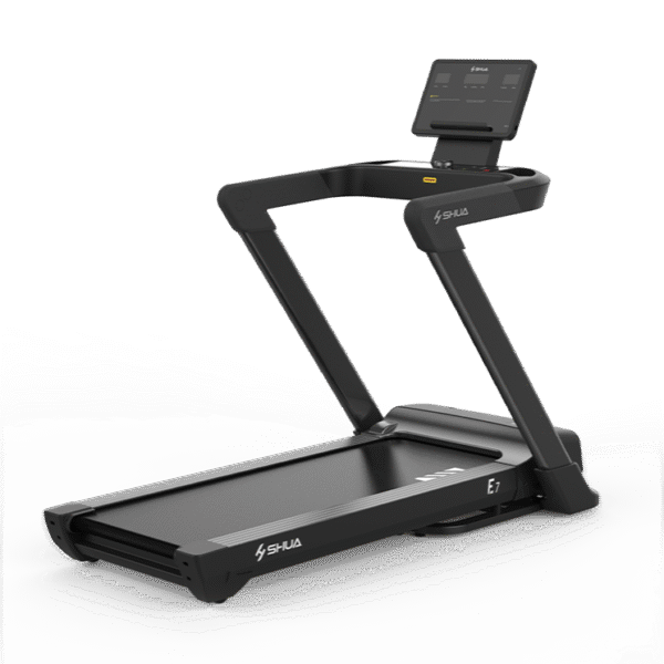 Treadmill T599