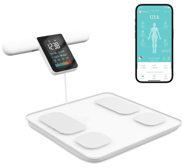Body-Home - Image 3